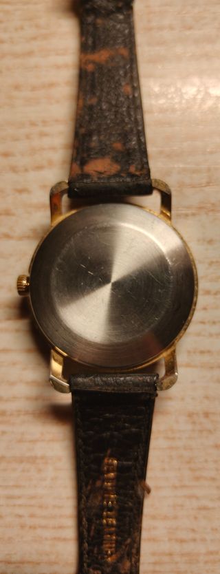 Orologio da polso meccanico vintage.