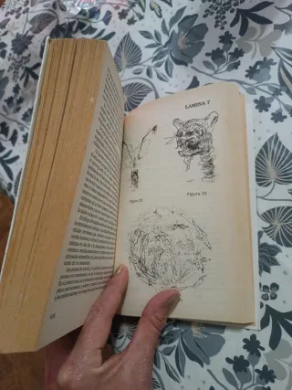 Tratado elemental de magia práctica