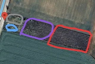 Busco terreno de alquiler por Marchamalo o alreded