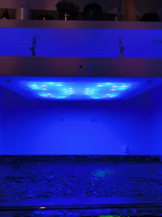 Philips Coral Care 2