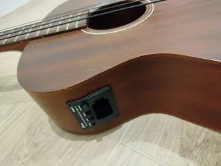 Bajo Acústico Ibanez Marrón