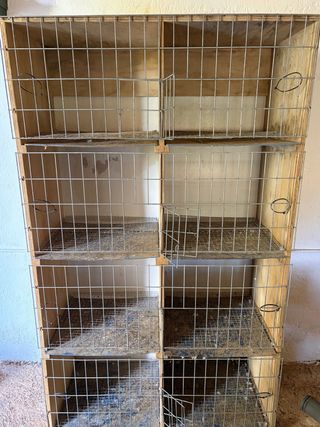 Módulo madera palomos 1,85x1,10