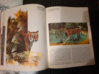 Libro sobre animales de 1971