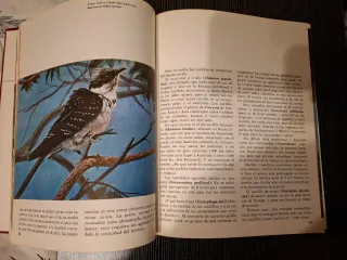 Libro sobre animales de 1971