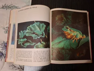 Libro sobre animales de 1971