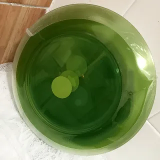 6 Platos Duralex Verdes 24cm Llanos