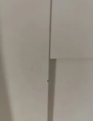 3 Puertas Bergsbo IKEA para Armario PAX