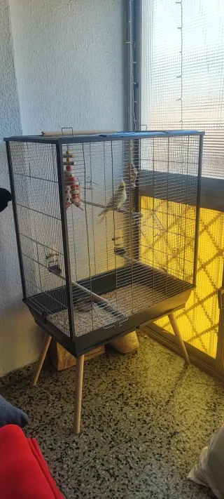 Jaula grande para pájaros