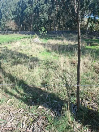 Se alquila parcela natural al lado de Coruña