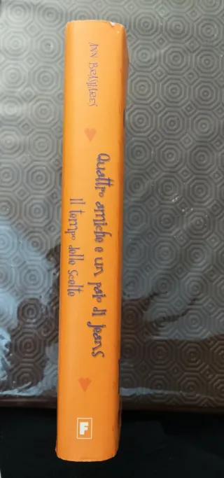 Libro "quattro amiche e un paio di jeans"