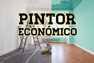 Pintor económico
