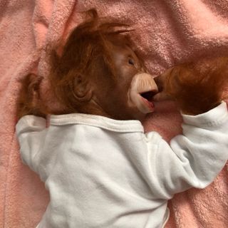 Bebé Chimpancé Reborn