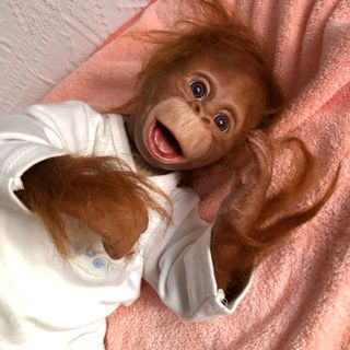 Bebé Chimpancé Reborn