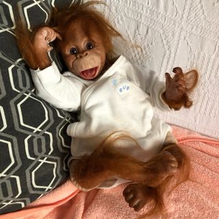 Bebé Chimpancé Reborn