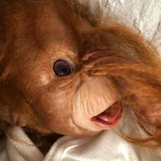 Bebé Chimpancé Reborn