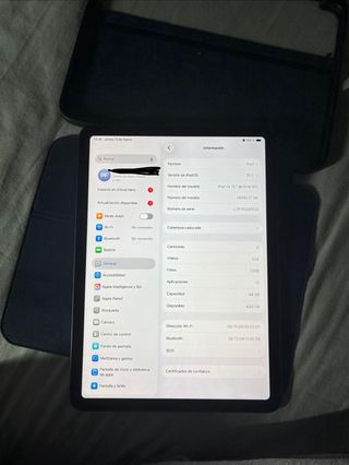 Apple iPad Air Gris Espacial