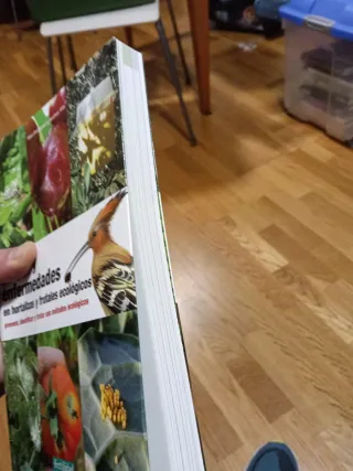 Plagas y enfermedades en hortalizas y frutales