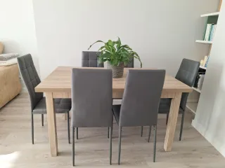 Mesa de comedor con 6 sillas