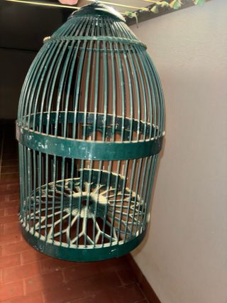 Jaula de perdiz con casillero