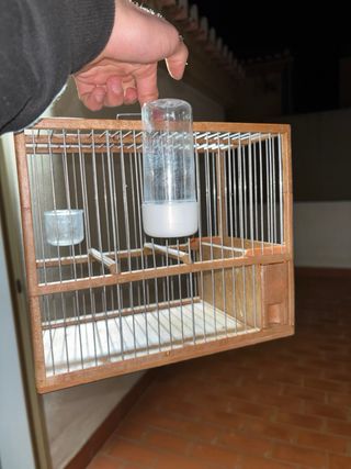 Jaula para pájaros con accesorios