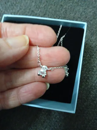 Conjunto Tous Plata 925 Oso y Pendientes