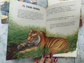 Colección libros el mundo secreto de los gnomos