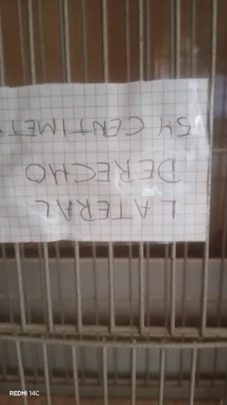 Jaula grande para pájaros