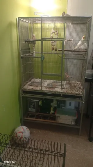 Jaula grande para pájaros