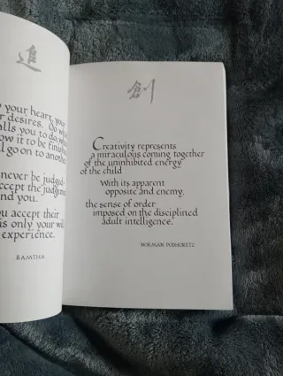 Begin It Now You Have a Purpose