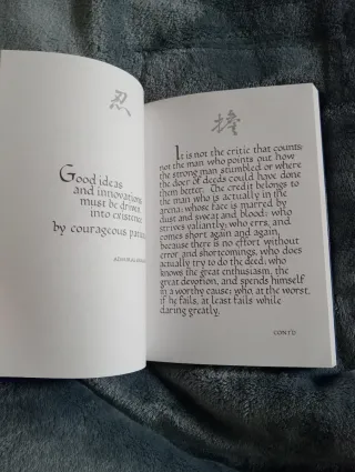 Begin It Now You Have a Purpose