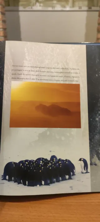 La Marcia dei pinguini raccontata da Fiorello ITA