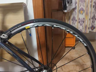 Specialized Roubaix Elite Talla XS 2009