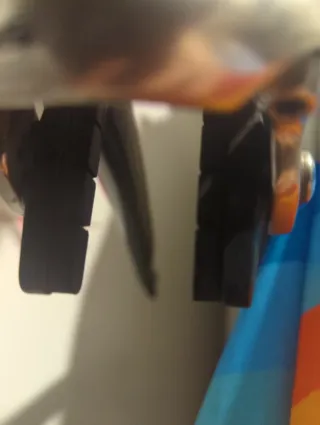 Specialized Roubaix Elite Talla XS 2006