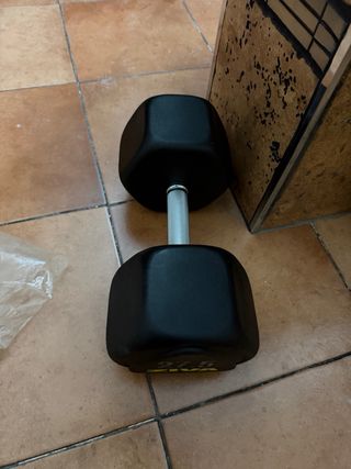 Mancuerna ZIVA 27.5 kg