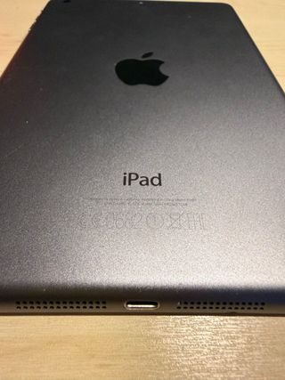 iPad Mini 2 Argento + FOGLIA