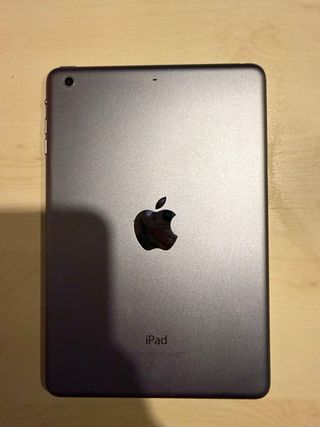 iPad Mini 2 Argento + FOGLIA