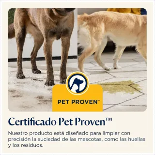 Aspiradora de tapicería BISSELL SpotClean ProHeat