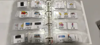 115 Tarjetas Pictogramas Plastificadas