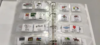 115 Tarjetas Pictogramas Plastificadas