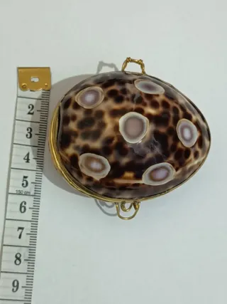 Joyero Vintage Concha Natural