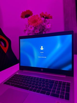 HP ProBook 450 G7 i5 10ª Gen