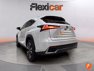 Lexus NX 2.5 300h Business 2WD