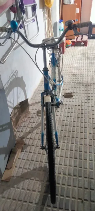 Bicicleta Maltina Mujer