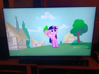 Televisor Samsung 55 Negro