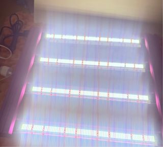 Luz LED de Cultivo de espectro 200W 65x55cm