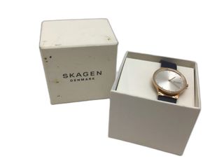 reloj pulsera caballero skagen 252201