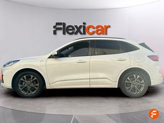 Ford Kuga ST-Line 1.5T EcoBoost 110kW (150CV)