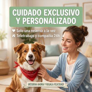 El rincon secreto de los perros (cuidador)