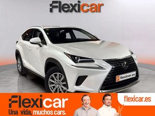 Lexus NX 2.5 300h Executive 4WD