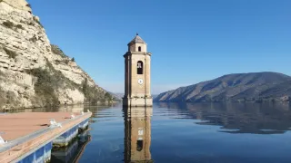 Compañero pesca  zona Mezquinenza